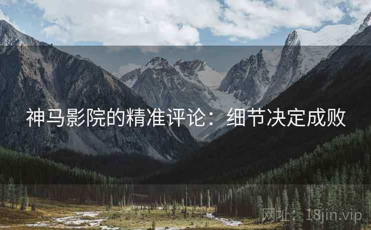 神马影院的精准评论：细节决定成败